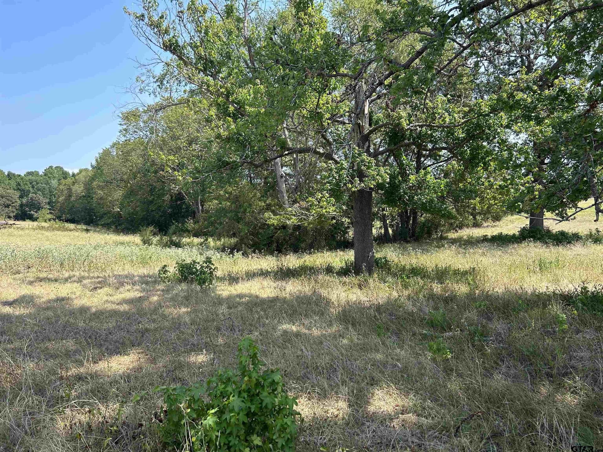 LOT 8 5.5ACRES COUNTY ROAD 2166