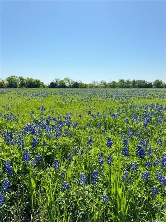 5.01 Acres FM 308 Road