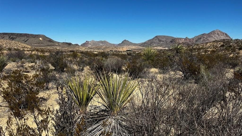 24387 Echo Str.