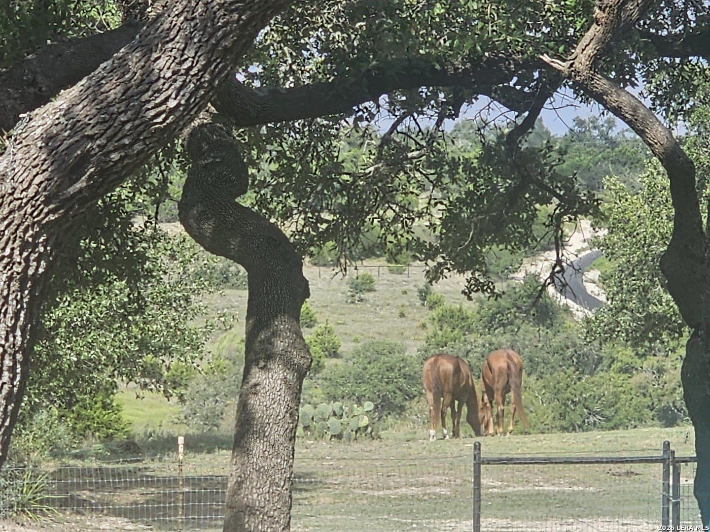 552 (LOT 2002) Rock Trail