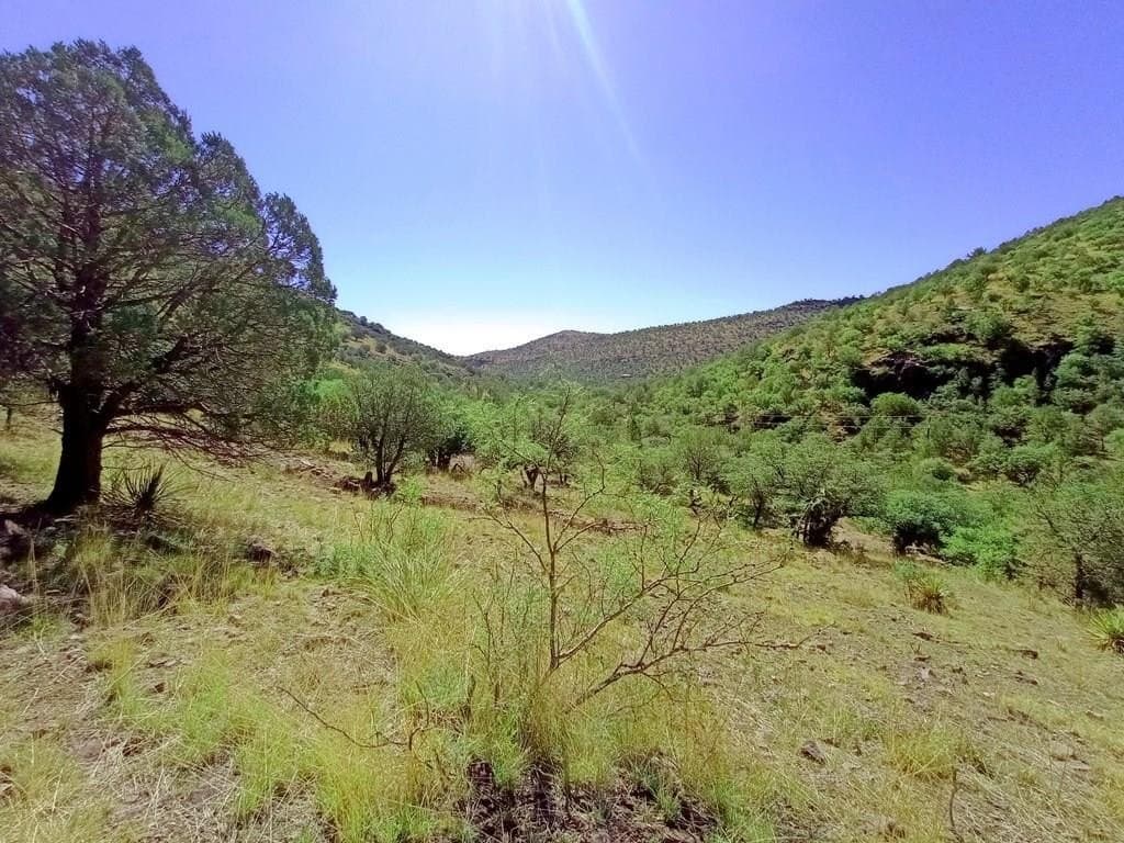 519 Squaw Valley Trail
