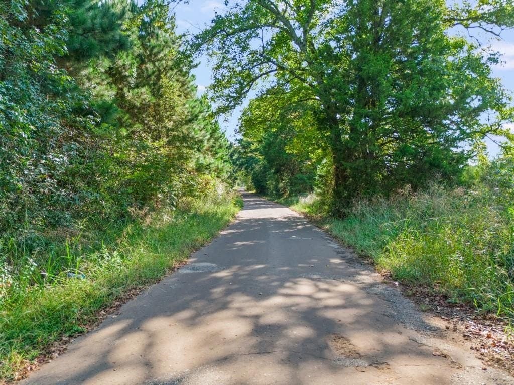 Tbd Cat Road