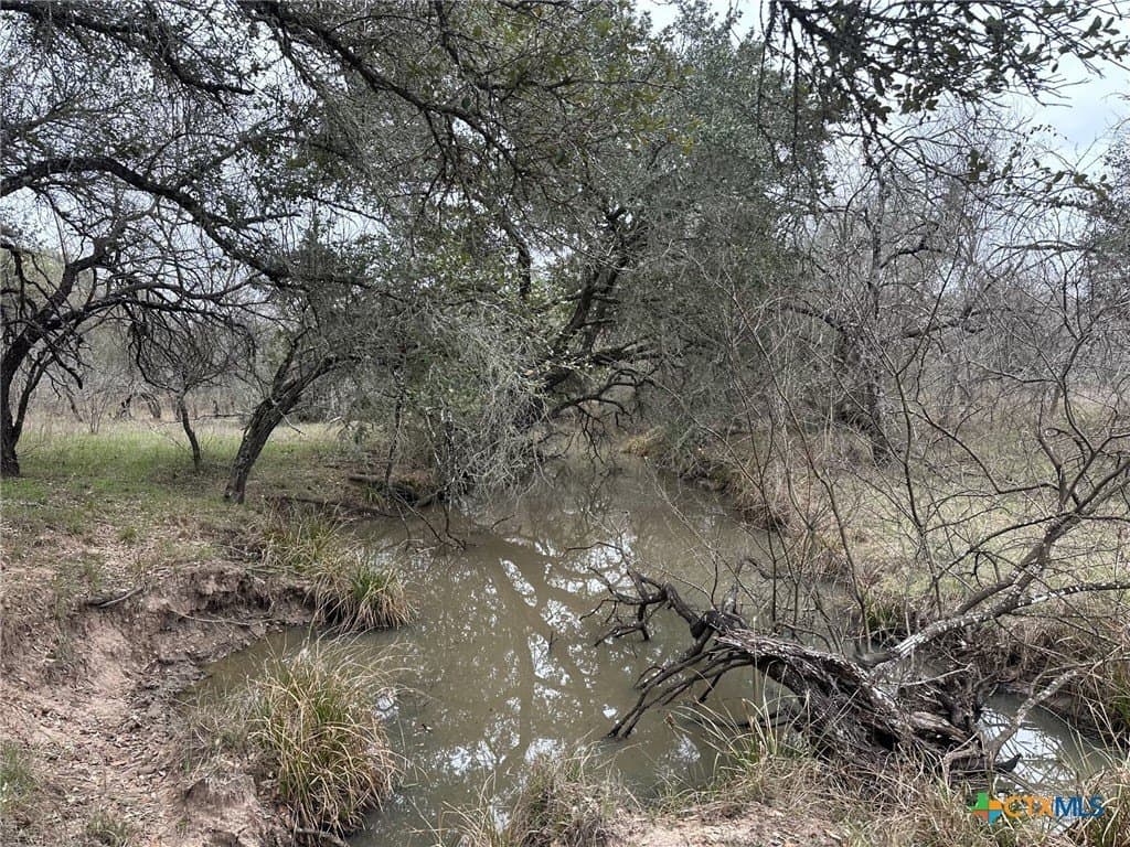Dentler Tract 6 Road