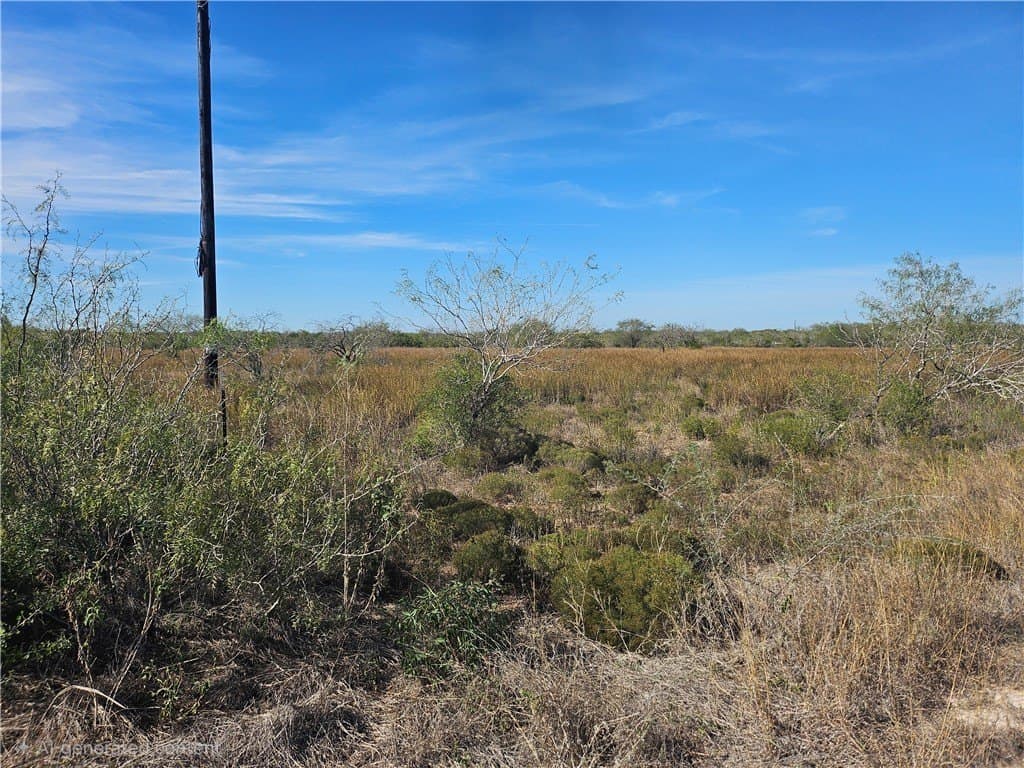 12 County Road 1431 lot: 12