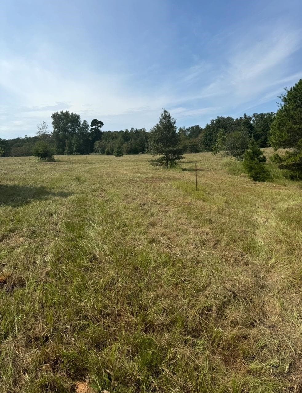 1258 Brown Rd.