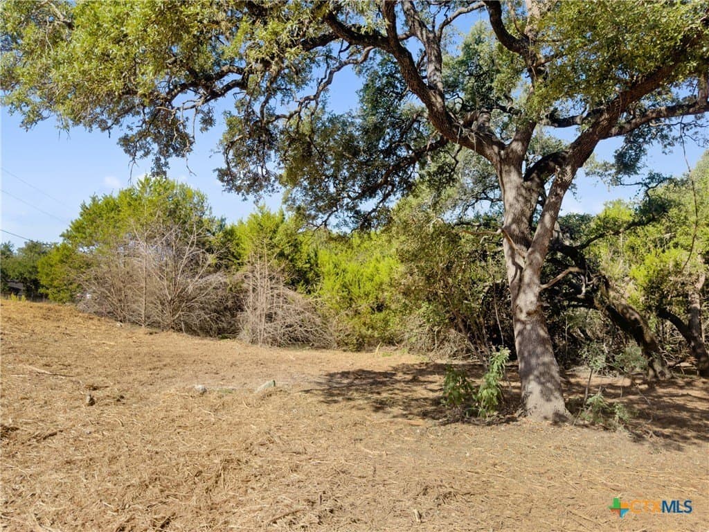 817 Rutherford lot: 177