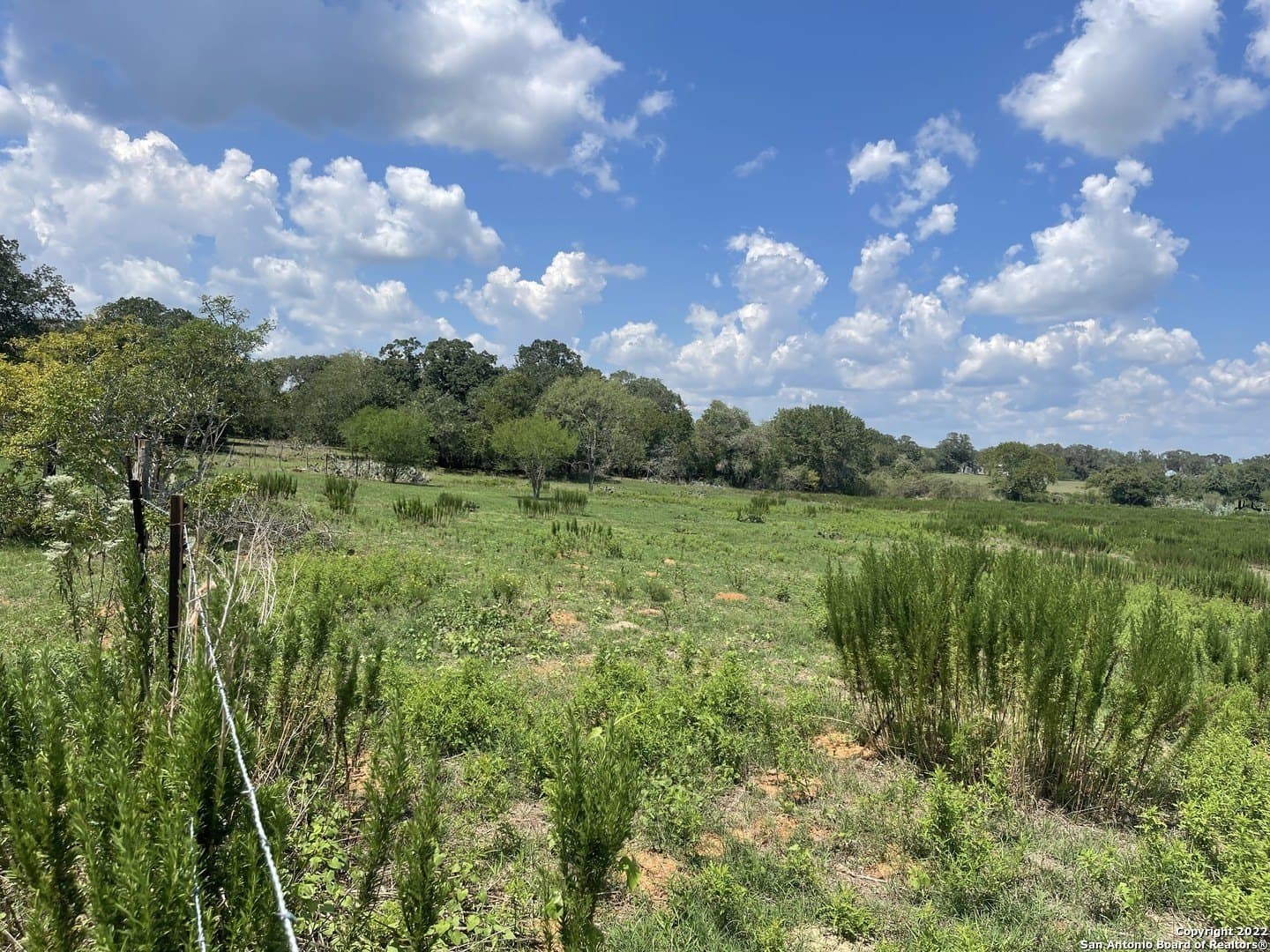 3505 COUNTY ROAD 476