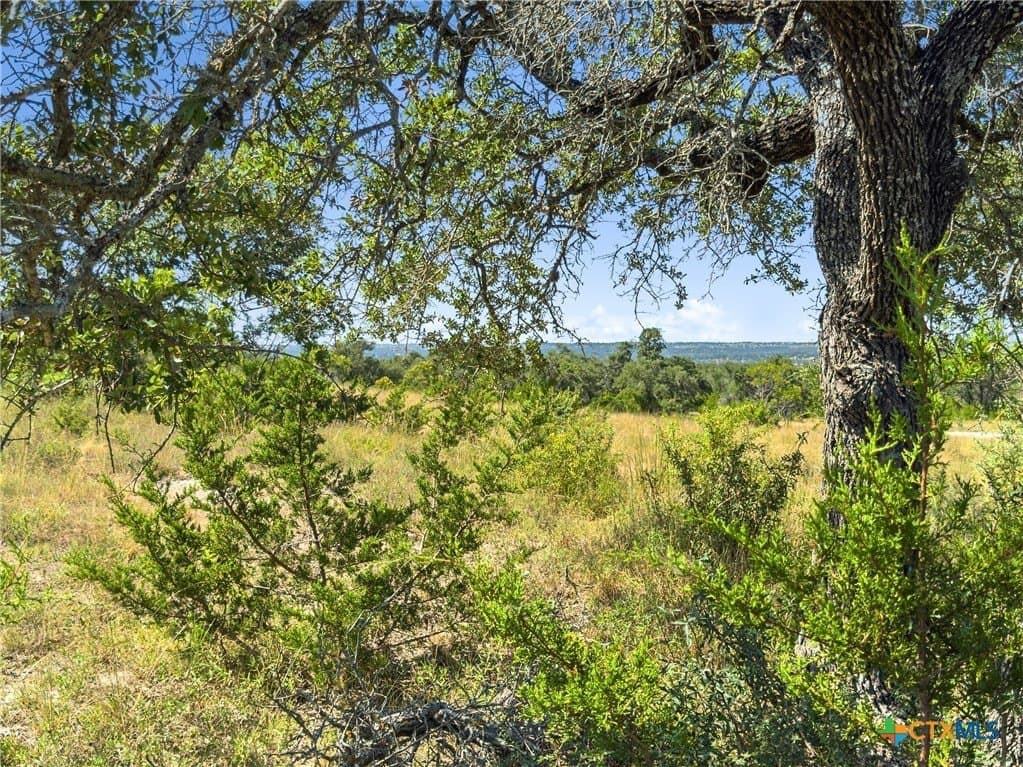 820 Stone Ridge Mountain Drive lot: 21