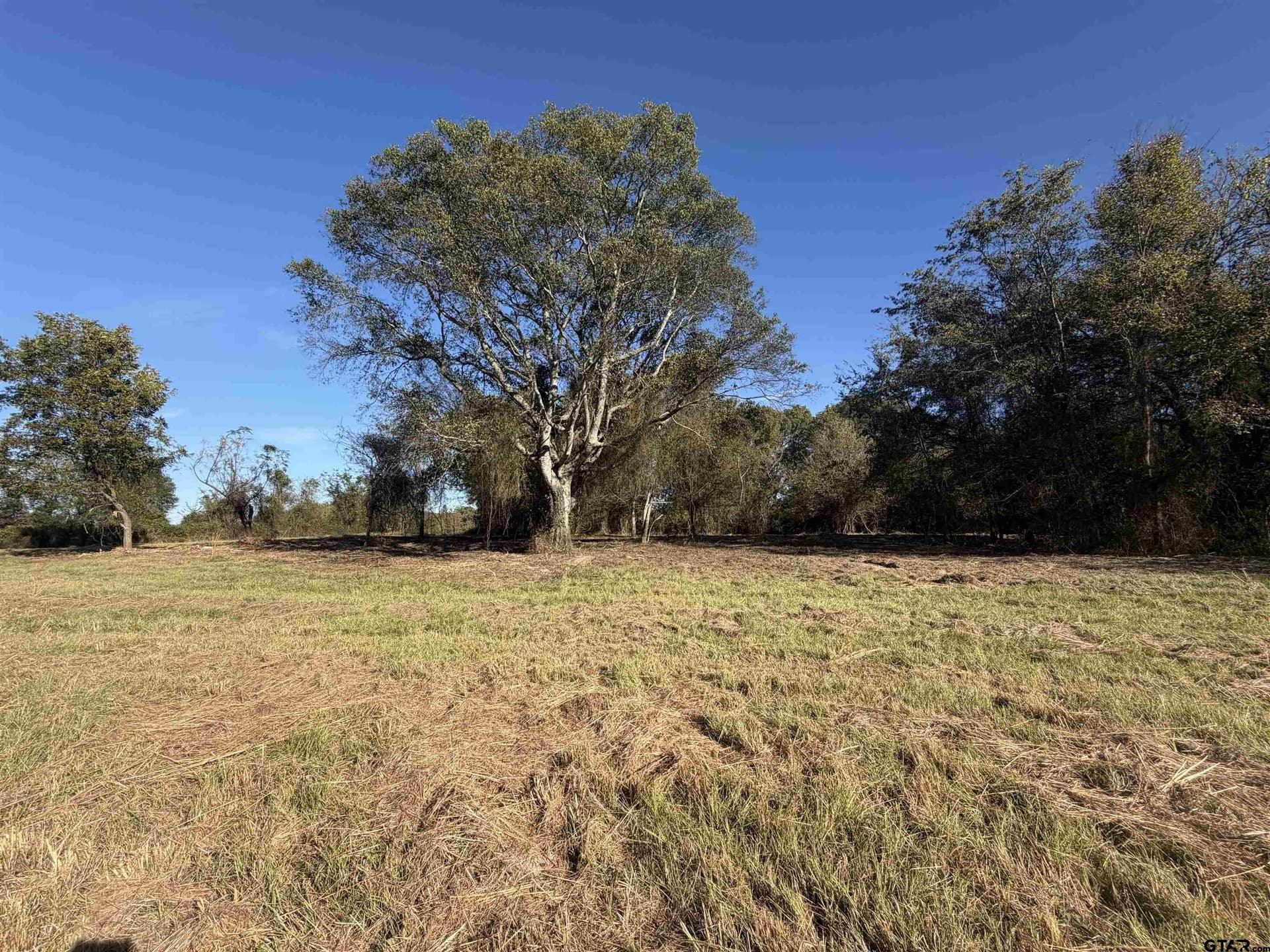 TBD CR 4316 & 4314