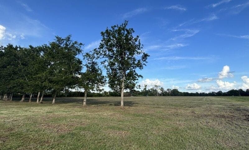 0 Old Van Vleck Road, Tract 1