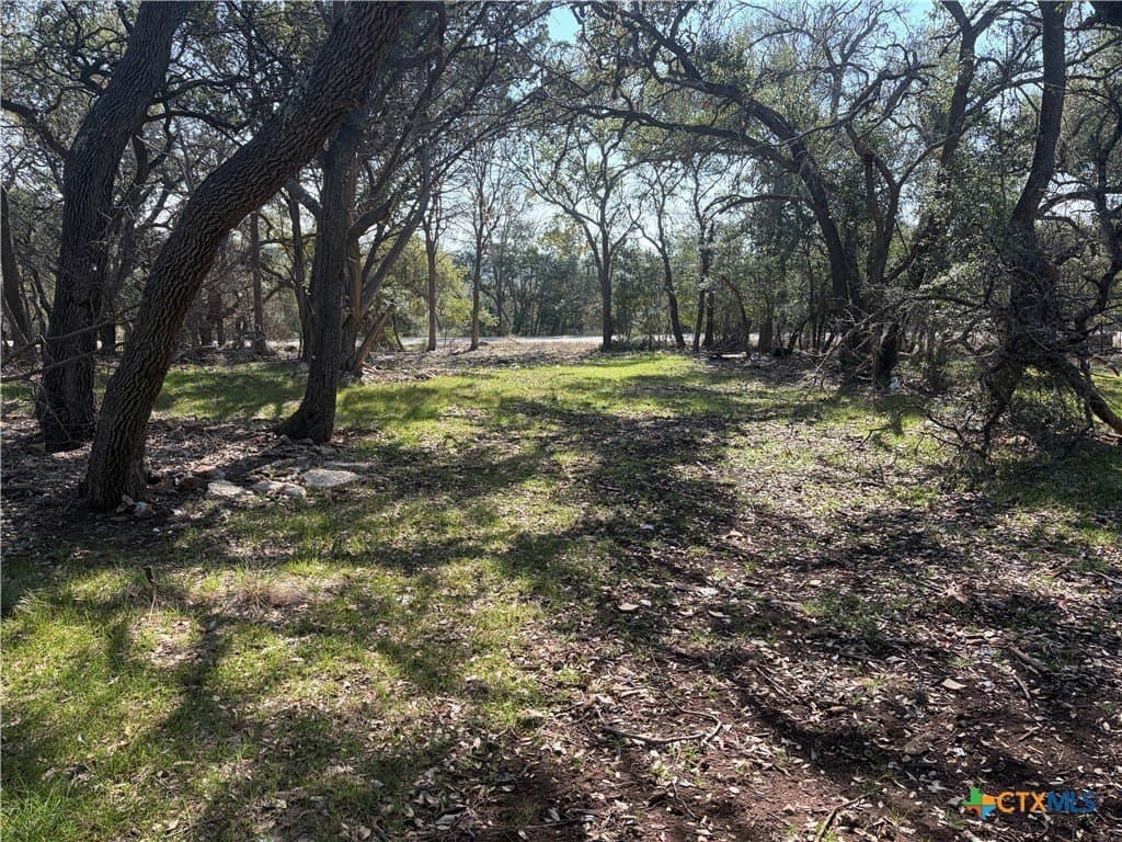 2883 Wegner Road lot: 15