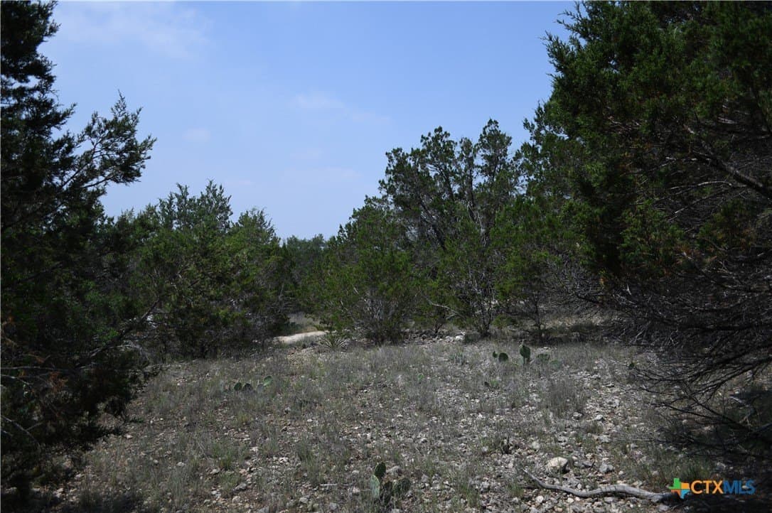 135 Agarita Drive lot: 13