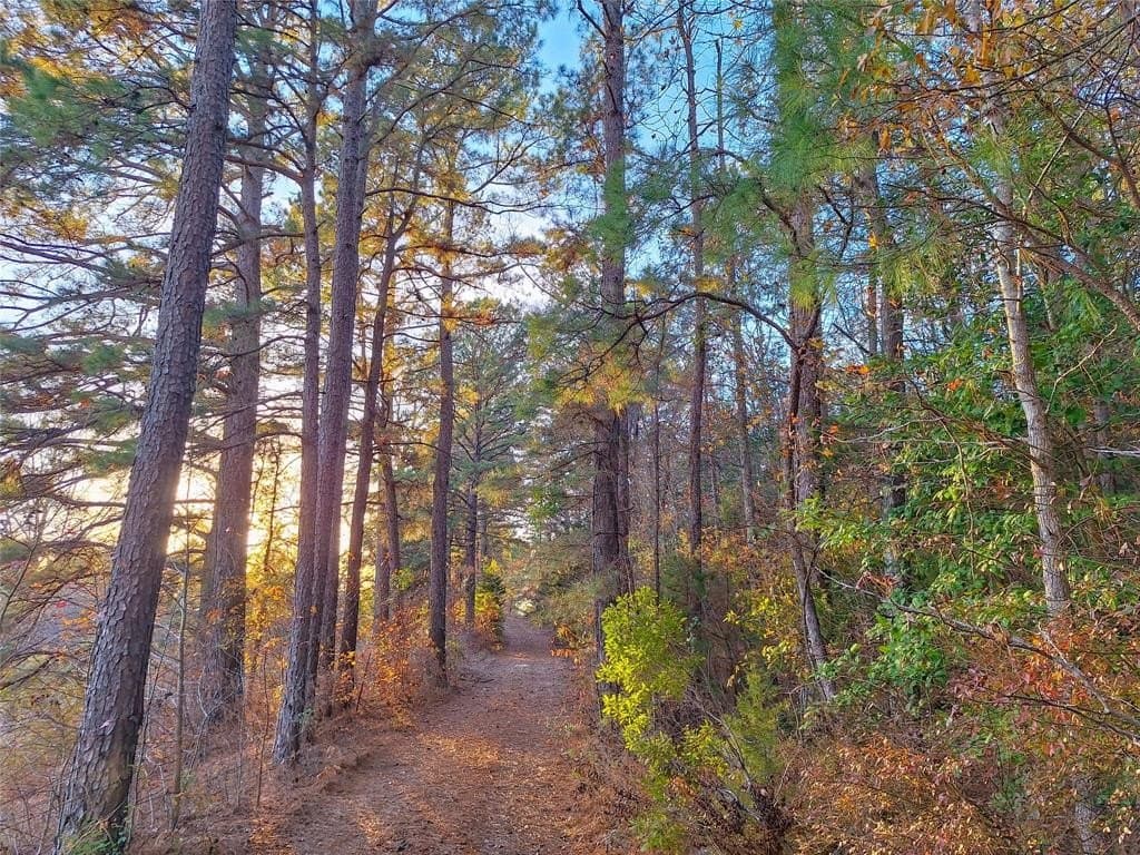 Tbd County Road 2920
