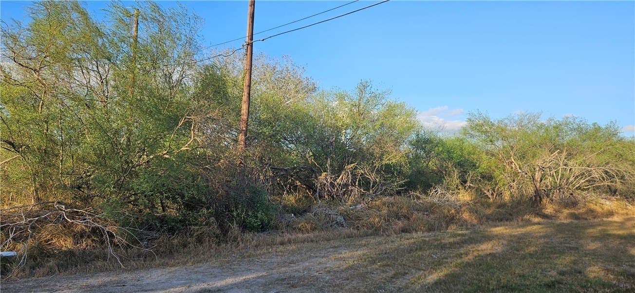 N 1st Street lot: 12