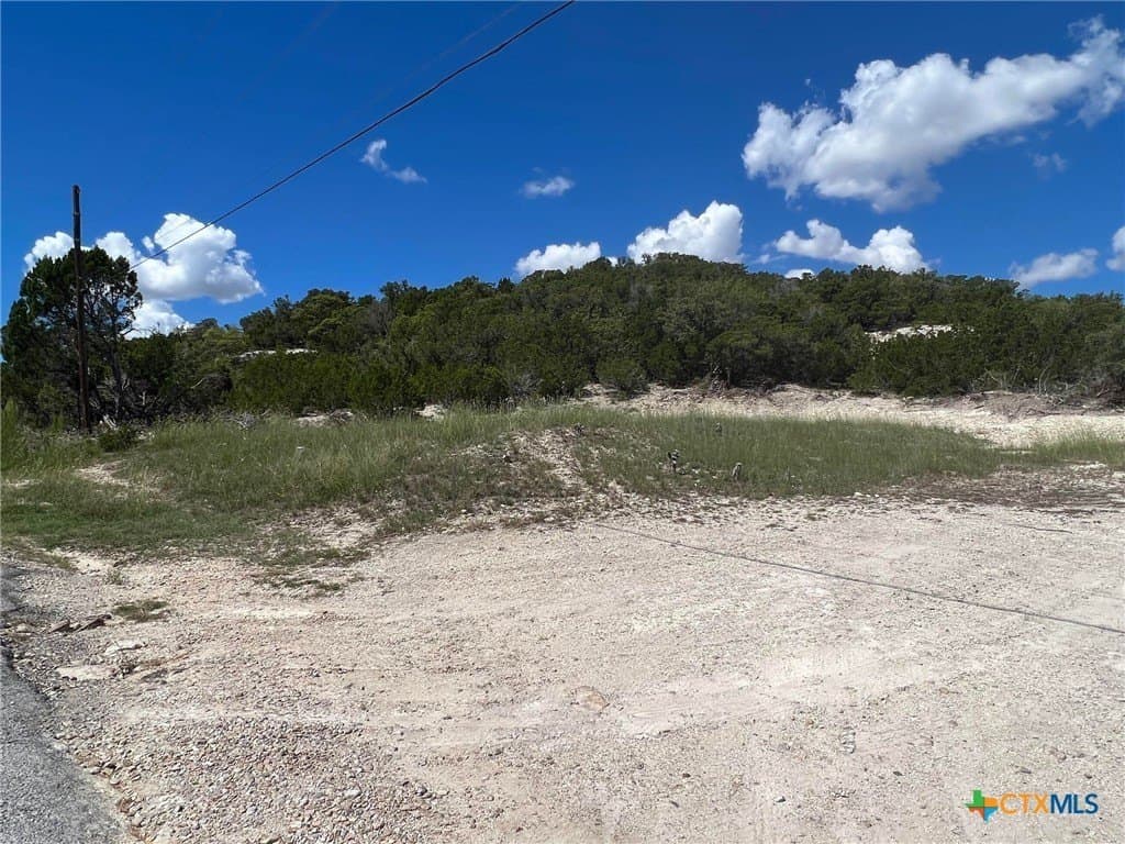 1223 Ritter Street lot: 12