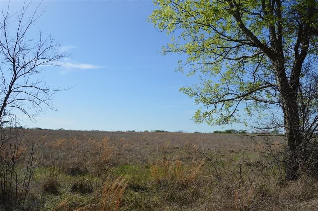 Tbd Lot 3 RS County Road 1520