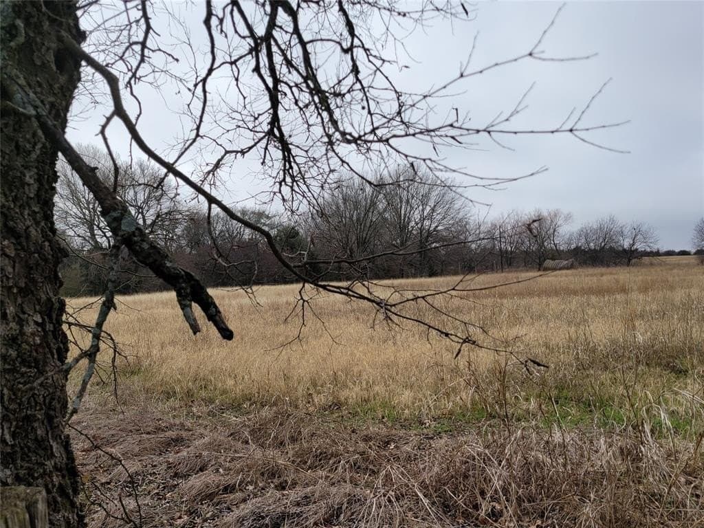 2232 County Road 415