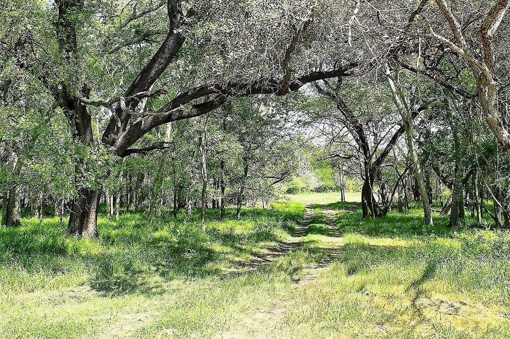 Scott Road
