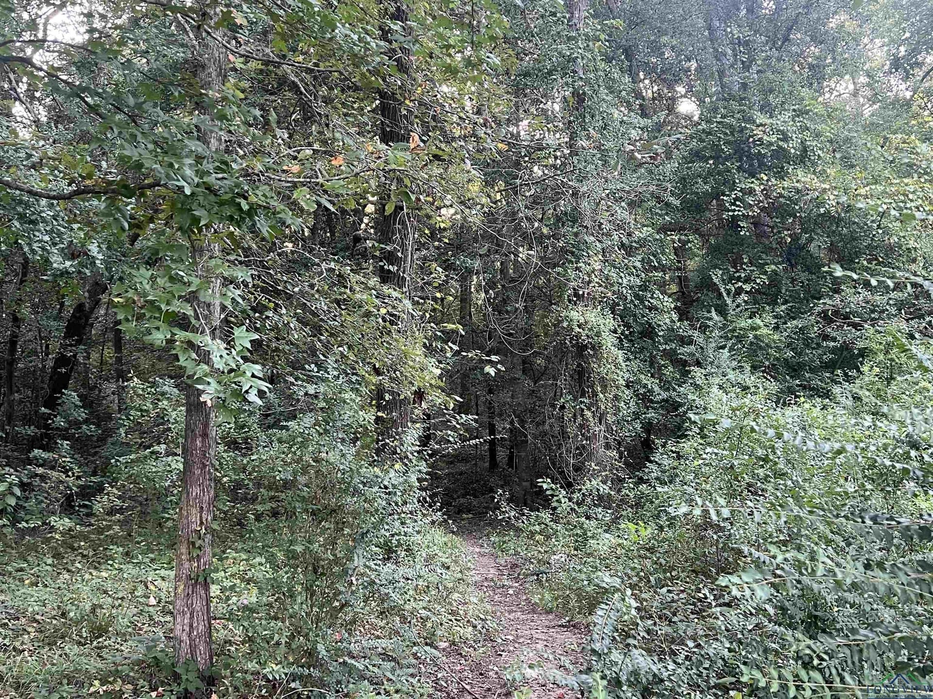Tbd Willowood Trail