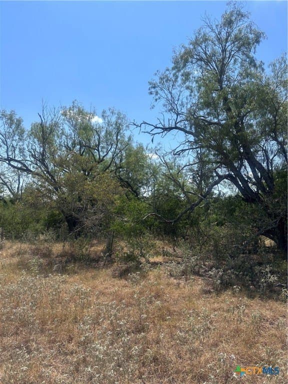 6032 County Road 405 lot: 9