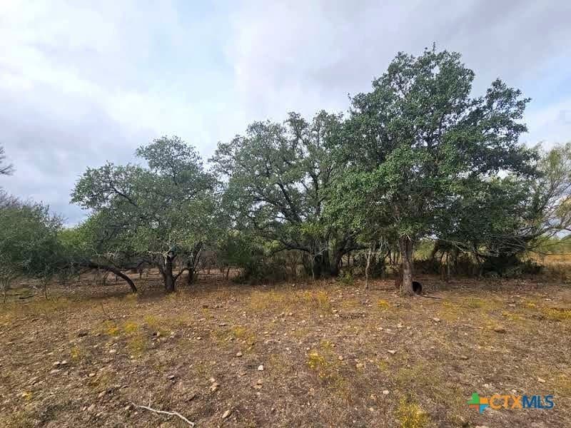 415 Black Watch Lane lot: 7