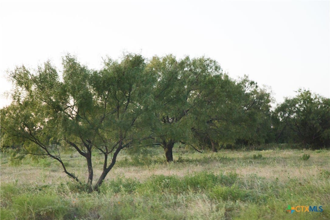 Harmon Road lot: 7