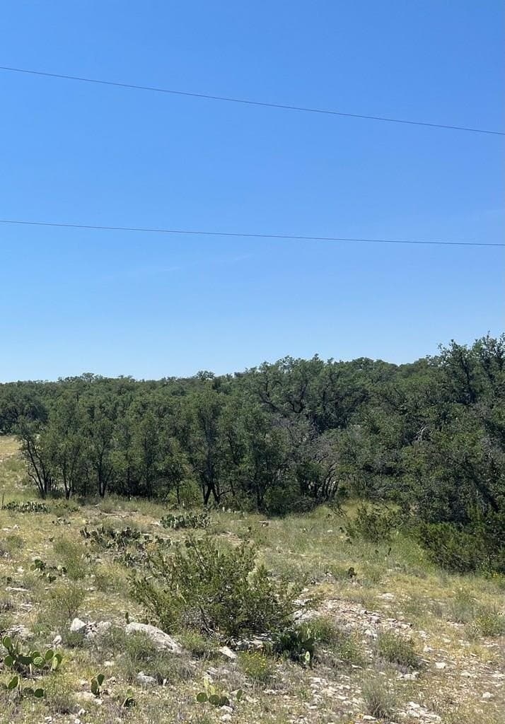 4120 Majestic Oaks Drive lot: 11
