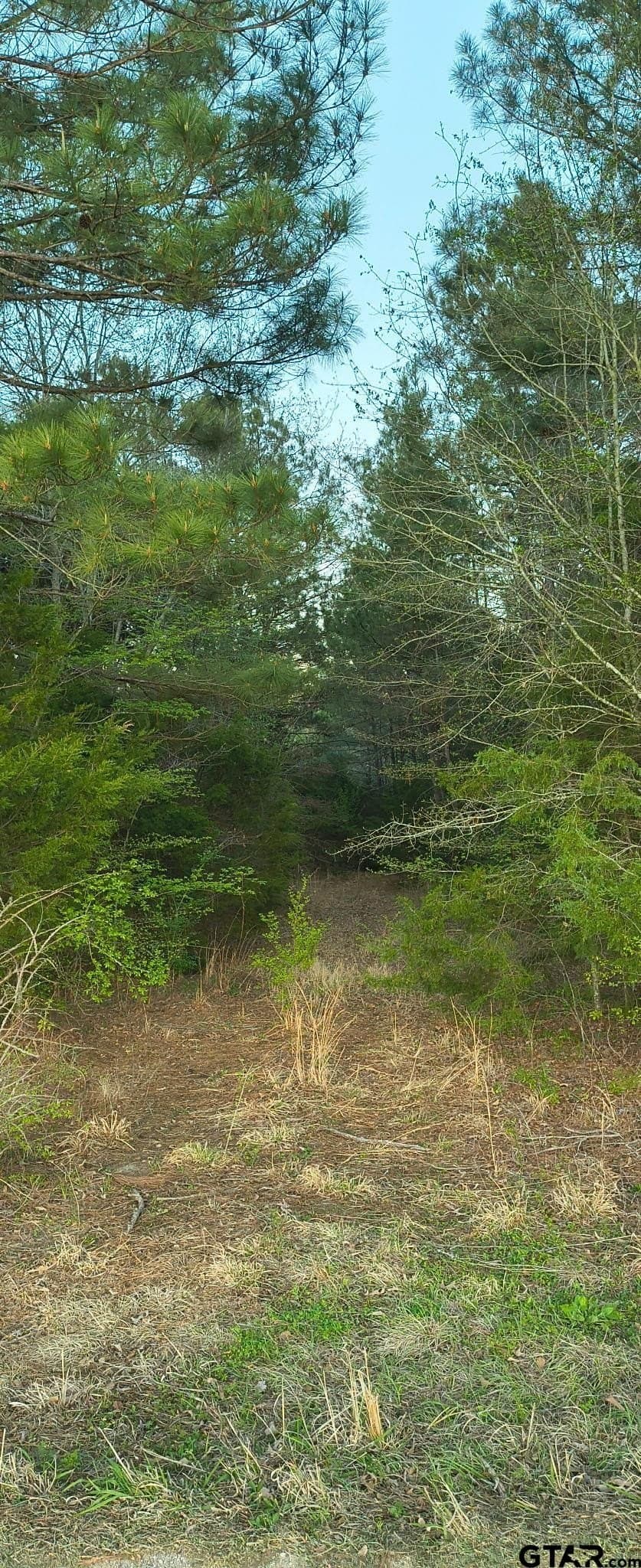10834 County Road 4162