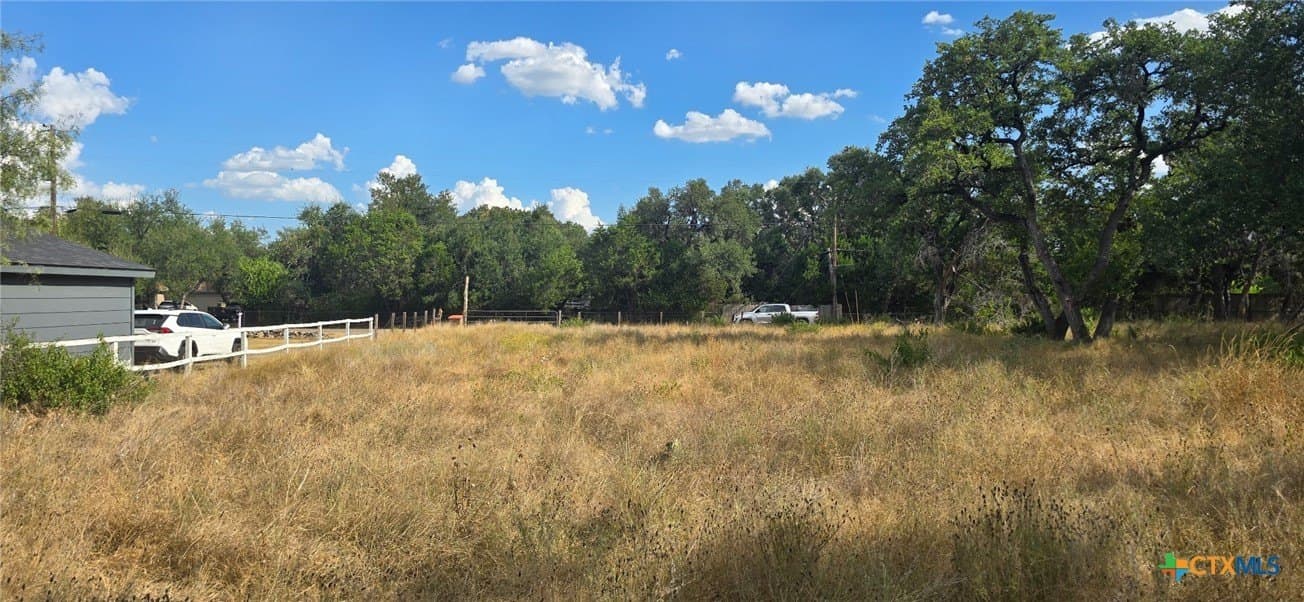 433 Lighthouse lot: 250