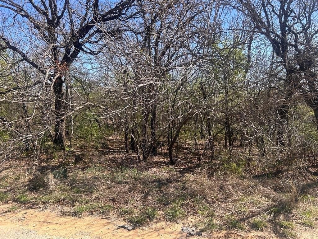 Tbd Palmetto Court