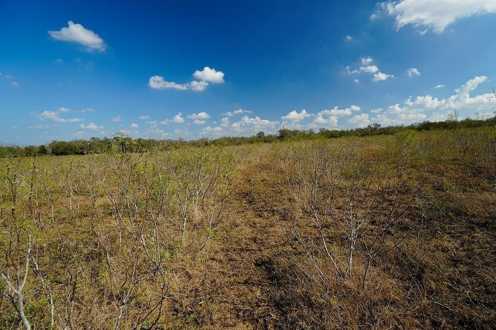 Lot 12 County Road 447