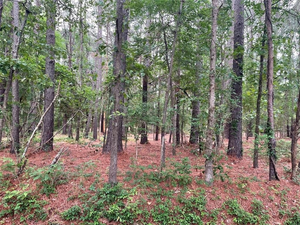 20348 County Road 4106