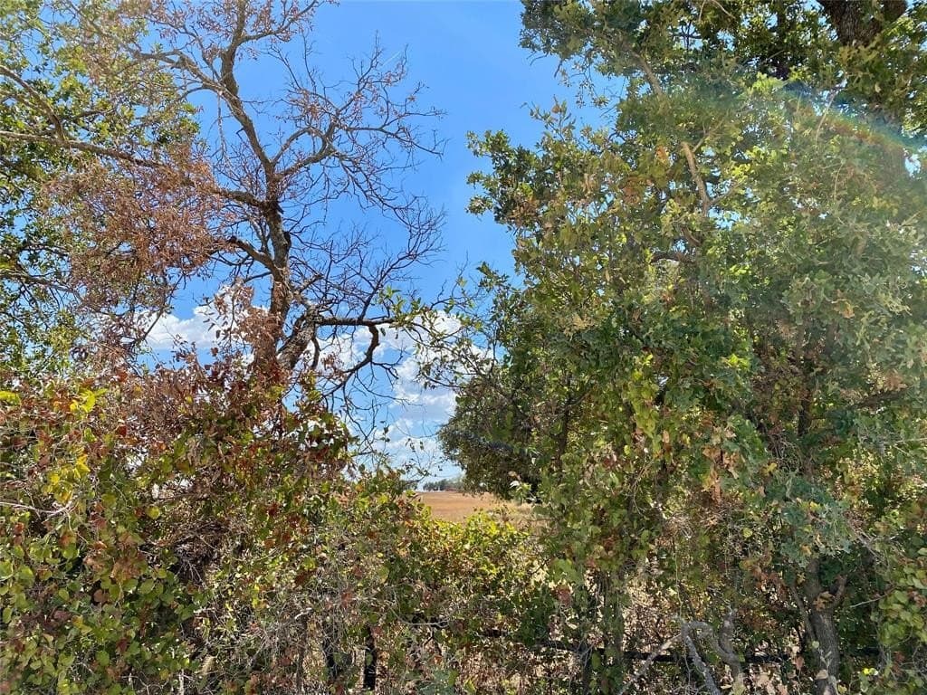 915 County Road 226