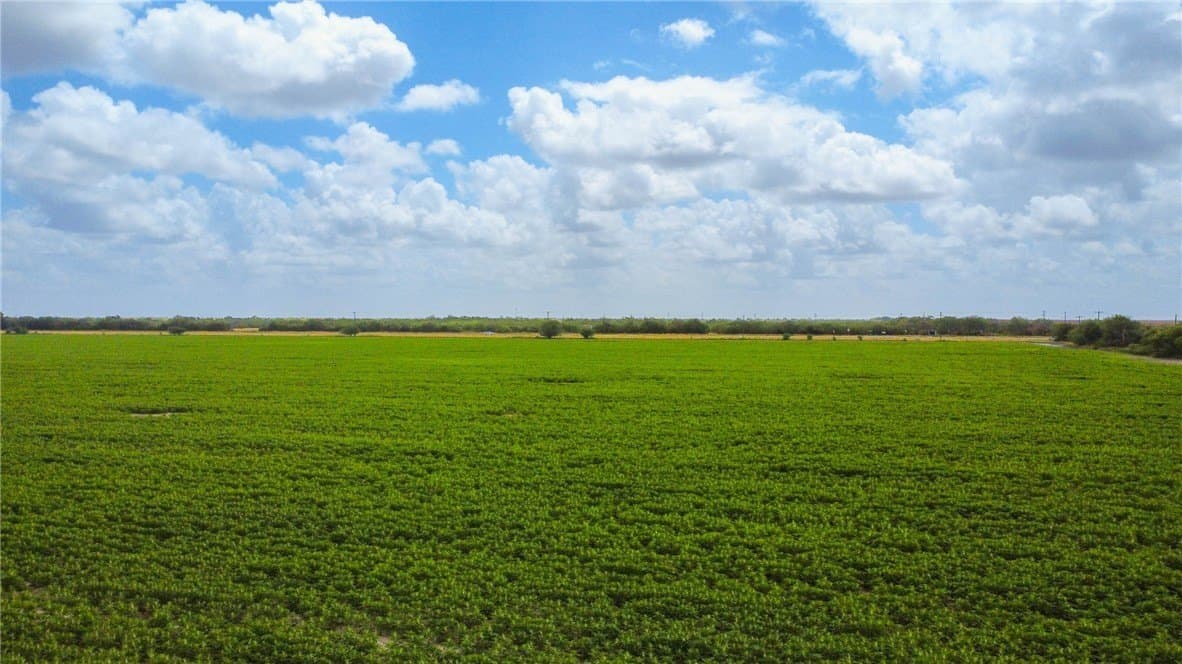 N Hwy 281
