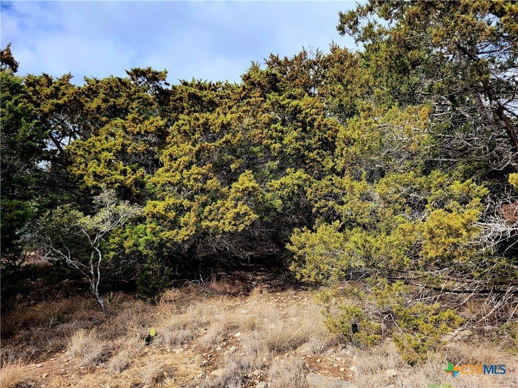 2066 Stallion Springs Drive lot: 254