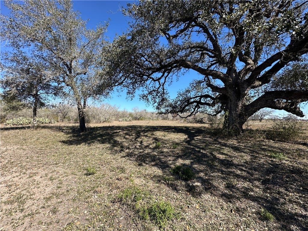 Highway 181 N lot: 3