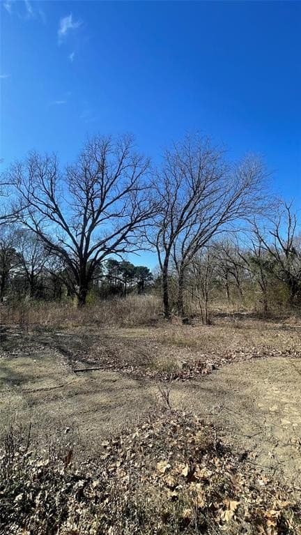 Tbd County Road 1223