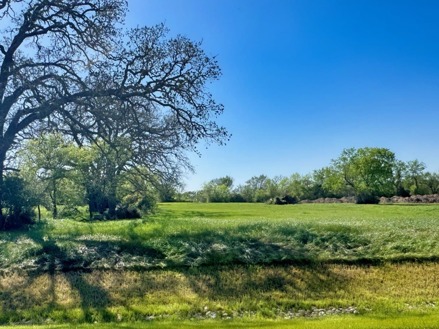 Panther Ridge Drive lot: 36