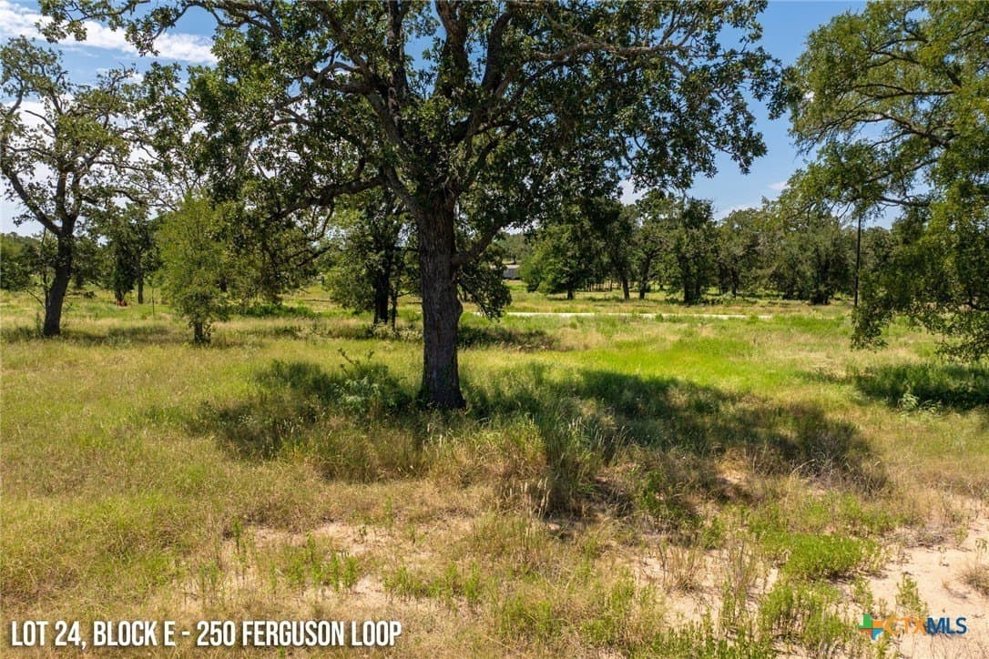 250 Ferguson Loop lot: 24