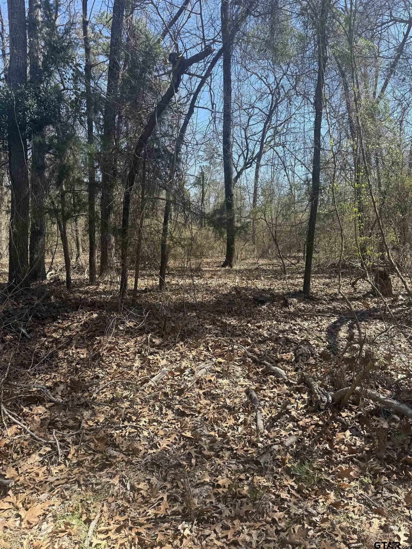 TBD King Arthur Court, Lots 5&6