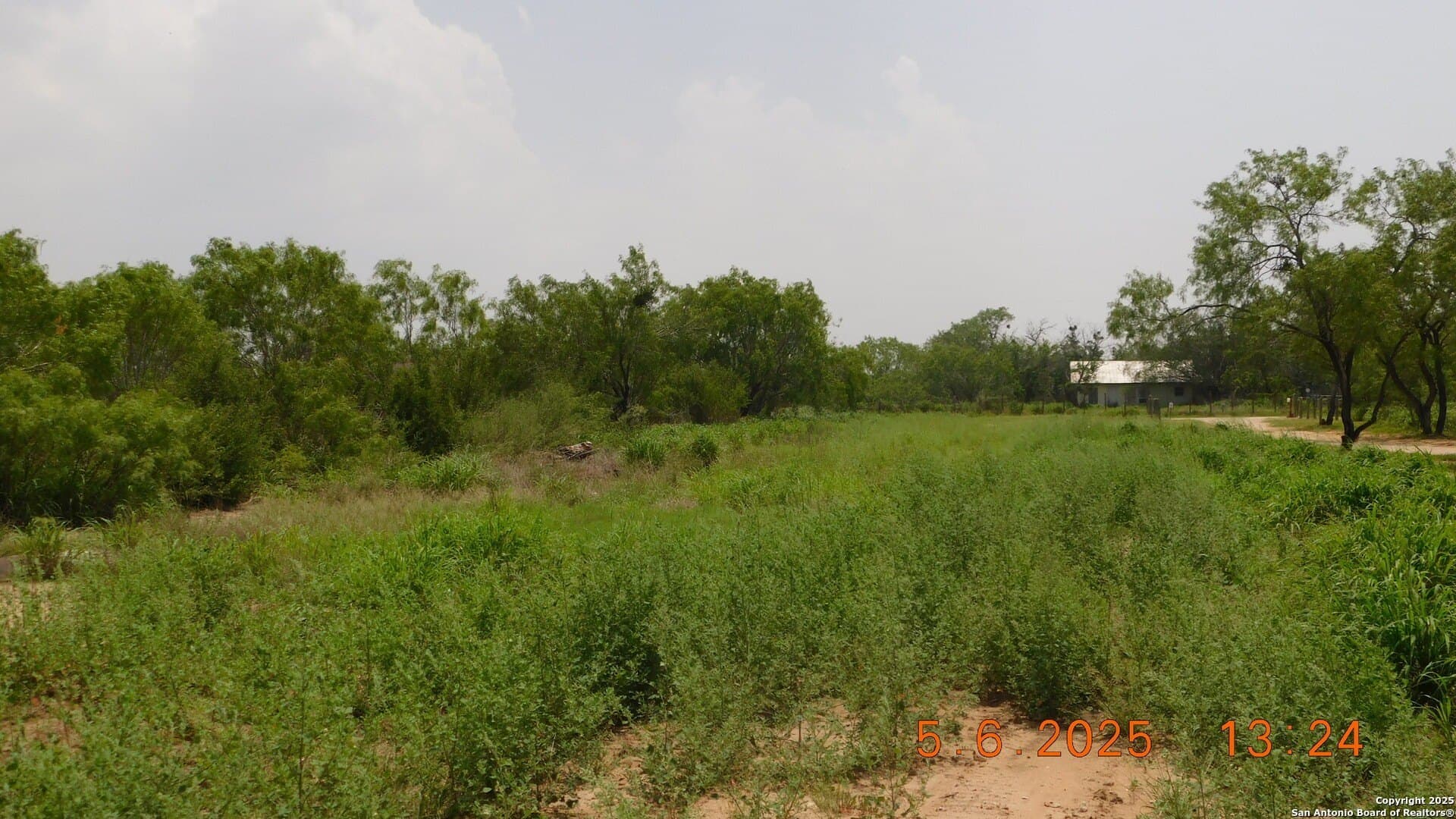 238 E. DITTO RD E Ditto Road