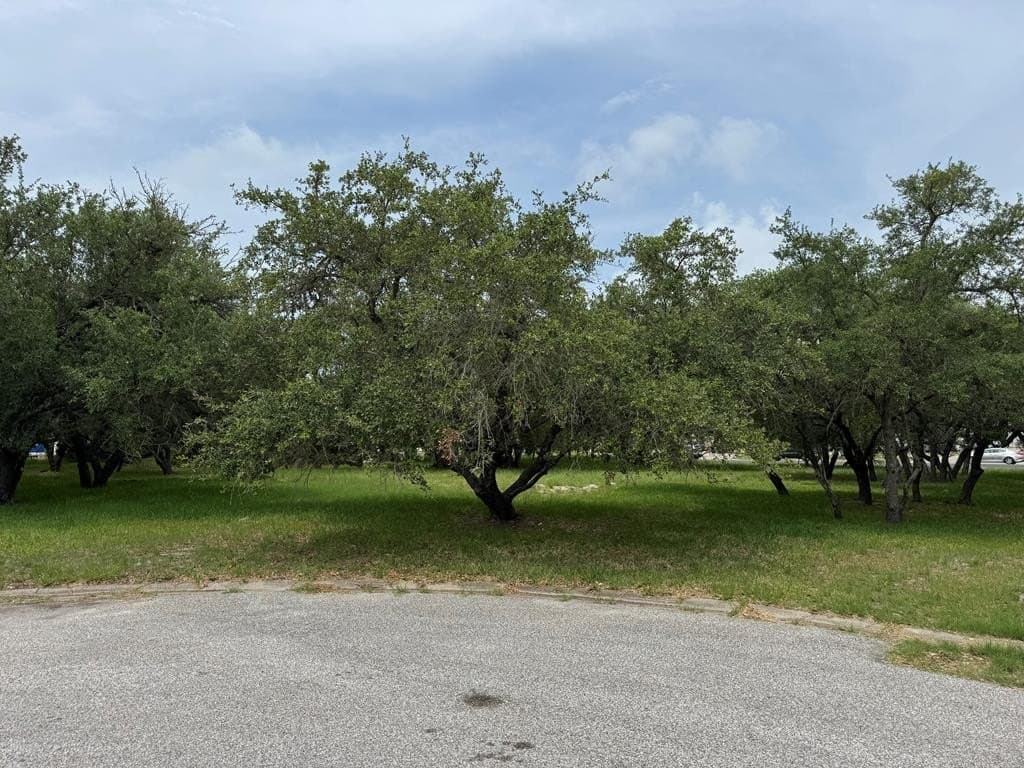 1817 Baywood Drive