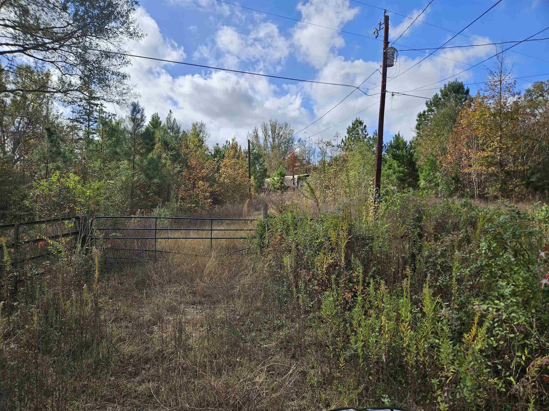 1225 County Rd. 317