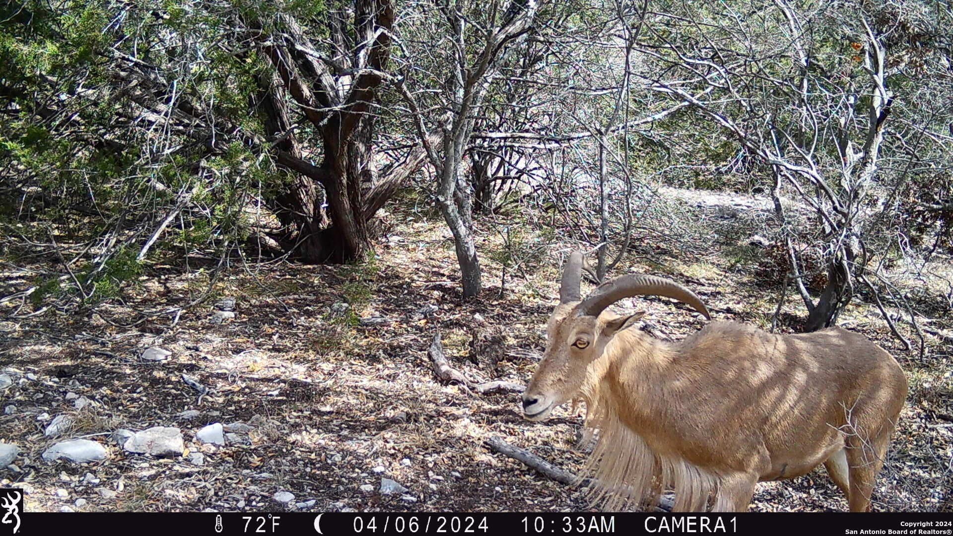 Tbd Red Bluff Creek