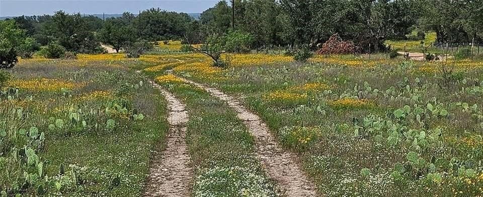 Tbd Starks Road