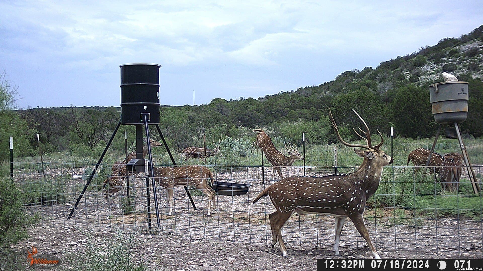 Dusty Rose Ranch E lot: 2
