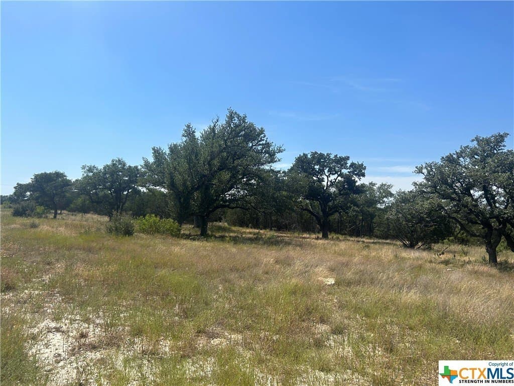 PR 4219 Lot 94