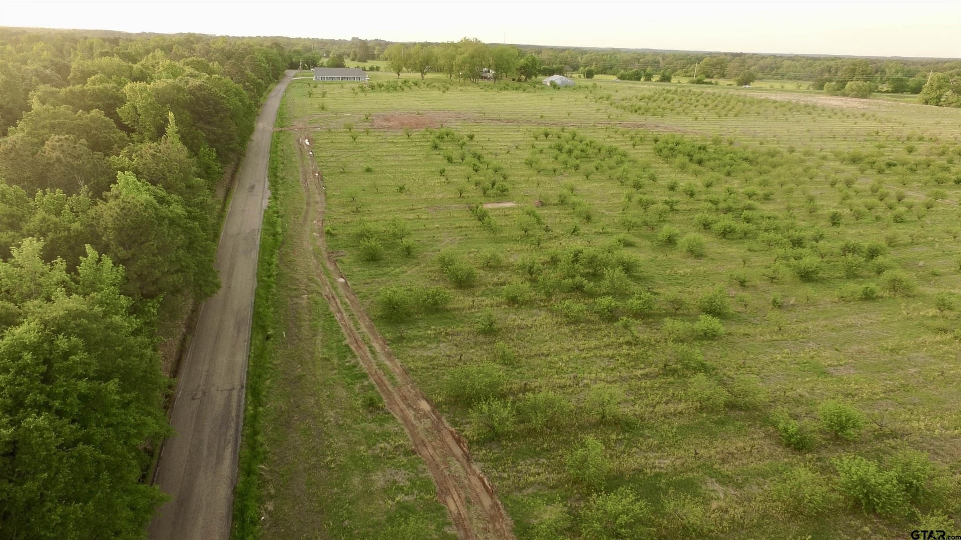 Lot 8 County Road 4230