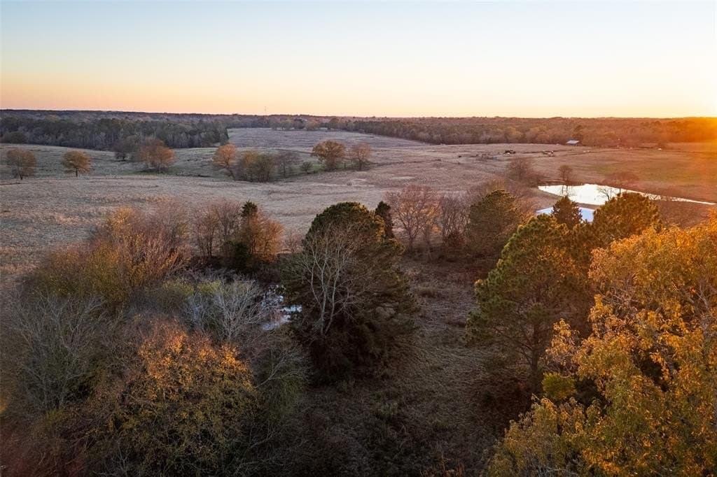 000 County Road 234 D