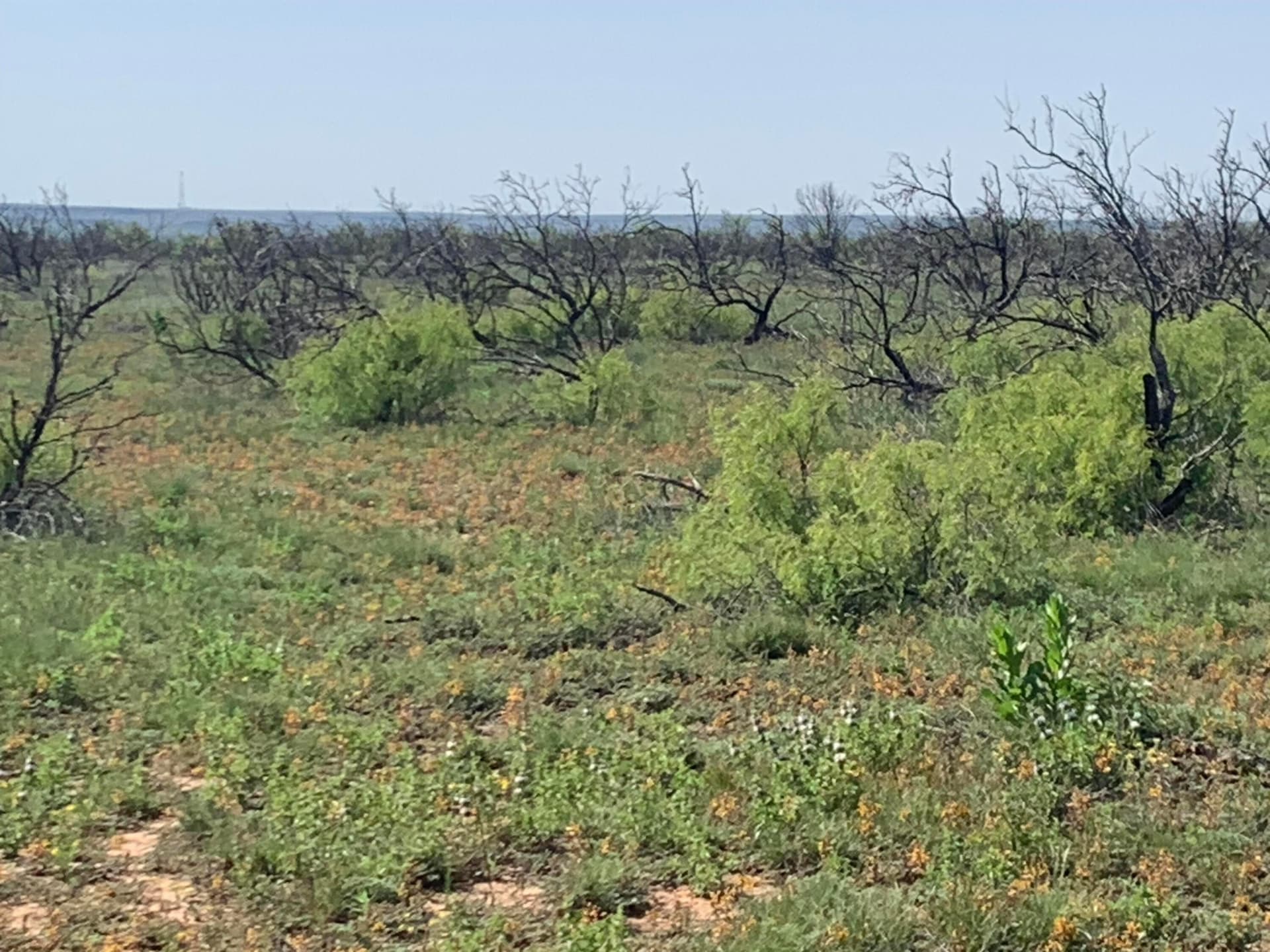 CEDAR CREEK Road
